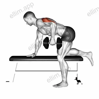 Dumbbell Kickback exercise targeting Upper Arms and Triceps Brachii