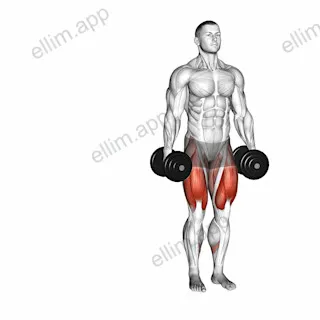Dumbbell Lateral Lunge exercise targeting Thighs