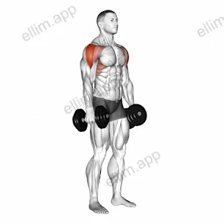 Dumbbell Lateral Raise exercise targeting Shoulders and Deltoid Lateral
