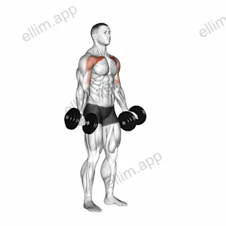 Dumbbell Low Fly exercise targeting Chest and Pectoralis Major Clavicular Head