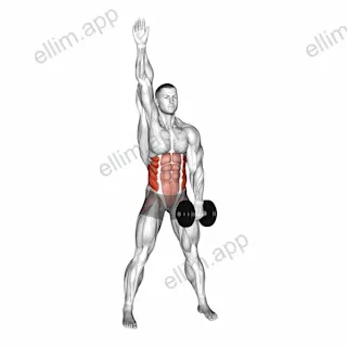 Dumbbell Low Windmill exercise targeting Waist