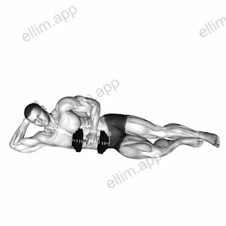 Dumbbell lying external shoulder rotation exercise targeting Back and Teres Minor