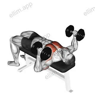 Dumbbell Lying Hammer Press exercise targeting Chest and Pectoralis Major Clavicular Head