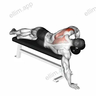 Dumbbell Lying One Arm Deltoid Rear exercise targeting Shoulders and Deltoid Posterior