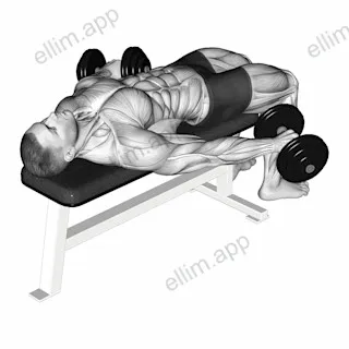 Dumbbell Lying Pronated Grip Maltese Hold exercise targeting Shoulders