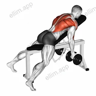 Dumbbell Lying Rear Delt Row exercise targeting Back and Infraspinatus