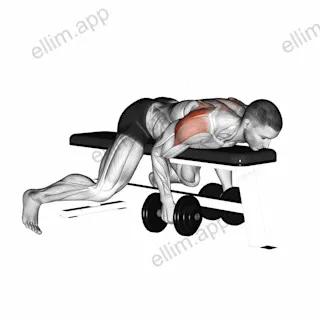 Dumbbell Lying Rear Lateral Raise exercise targeting Shoulders and Deltoid Posterior