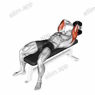 Dumbbell Lying Single Extension exercise targeting Upper Arms and Triceps Brachii