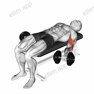 Dumbbell Lying Supine Biceps Curl exercise targeting Upper Arms