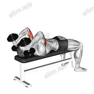 Dumbbell Lying Triceps Extension exercise targeting Upper Arms and Triceps Brachii