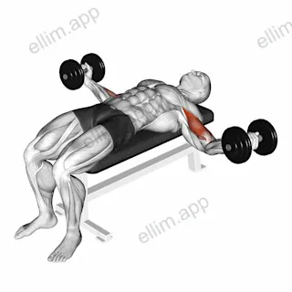 Dumbbell Lying Wide Curl exercise targeting Upper Arms