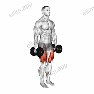 Dumbbell Narrow Stance Squat exercise targeting Thighs and Quadriceps
