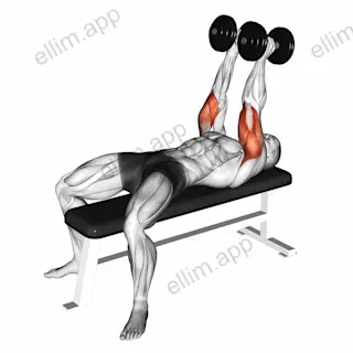 Dumbbell Neutral Grip Bench Press exercise targeting Upper Arms and Triceps Brachii