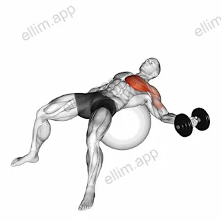Dumbbell One Arm Chest Fly on Exercise Ball exercise targeting Chest and Pectoralis Major Sternal Head