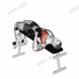 Dumbbell One Arm Decline Chest Press exercise targeting Chest and Pectoralis Major Sternal Head