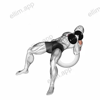 Dumbbell One Arm Hammer Press on Exercise Ball exercise targeting Upper Arms