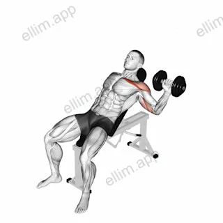 Dumbbell One Arm Incline Chest Press exercise targeting Chest and Pectoralis Major Clavicular Head