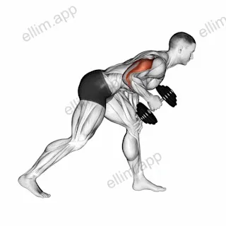 Dumbbell One Arm Kickback exercise targeting Upper Arms and Triceps Brachii