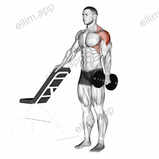 Dumbbell One Arm Lateral Raise exercise targeting Shoulders and Deltoid Lateral