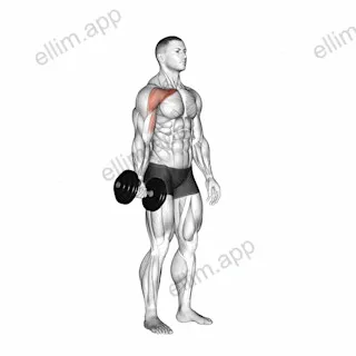 Dumbbell One Arm Low Fly exercise targeting Chest and Pectoralis Major Clavicular Head