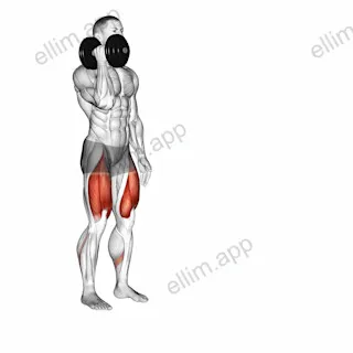 Dumbbell One Arm Lunge exercise targeting Thighs and Gluteus Maximus