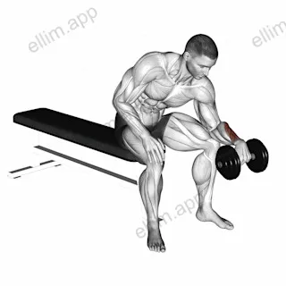 Dumbbell One arm Revers Wrist Curl exercise targeting Forearms and Wrist Extensors