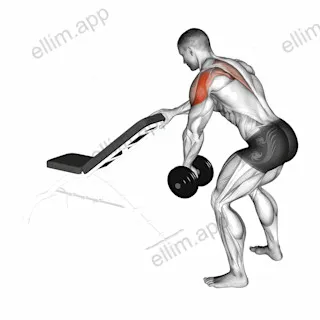 Dumbbell One Arm Reverse Fly (with support) exercise targeting Shoulders and Deltoid Posterior