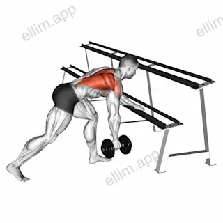 Dumbbell One Arm Row (rack support) exercise targeting Back and Infraspinatus