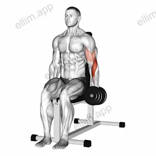 Dumbbell One Arm Seated Hammer Curl exercise targeting Upper Arms