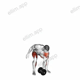 Dumbbell One Arm Snatch (left) exercise targeting Weightlifting