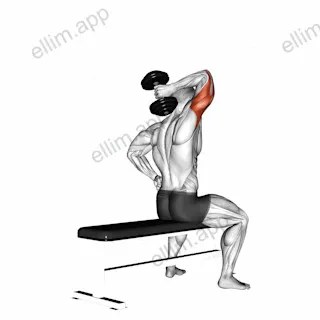 Dumbbell One Arm Triceps Extension (on bench) exercise targeting Upper Arms and Triceps Brachii