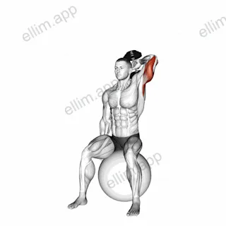 Dumbbell One Arm Triceps Extension on Stability Ball exercise targeting Upper Arms