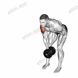 Dumbbell One Arm Y Elevation exercise targeting Shoulders and Deltoid Lateral