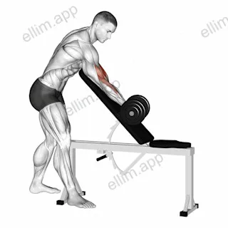 Dumbbell One Arm Zottman Preacher Curl exercise targeting Upper Arms and Biceps Brachii