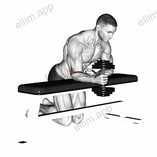 Dumbbell Over Bench One Arm Neutral Wrist Curl exercise targeting Forearms and Brachioradialis