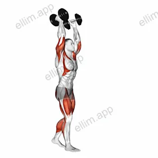 Dumbbell Overhead Carry exercise targeting Thighs