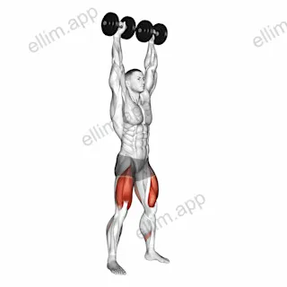 Dumbbell Overhead Squat exercise targeting Gluteus Maximus and Quadriceps