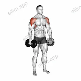 Dumbbell Partials Lateral Raise exercise targeting Shoulders