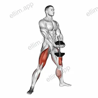 Dumbbell Plyo Squat exercise targeting Thighs and Gluteus Maximus