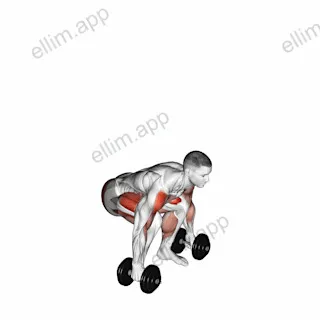 Dumbbell Power Clean exercise targeting Weightlifting