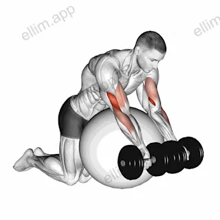 Dumbbell Preacher Curl over Exercise Ball exercise targeting Upper Arms and Brachialis