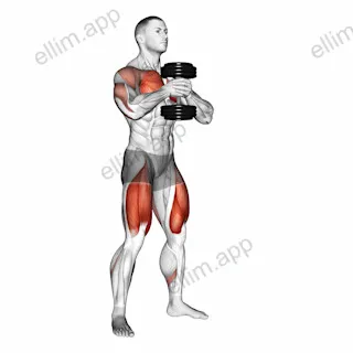 Dumbbell Press Squat exercise targeting Gluteus Maximus and Pectoralis Major Clavicular Head