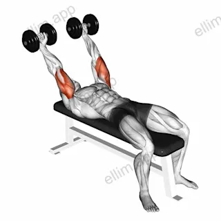 Dumbbell Pronate grip Triceps Extension exercise targeting Upper Arms