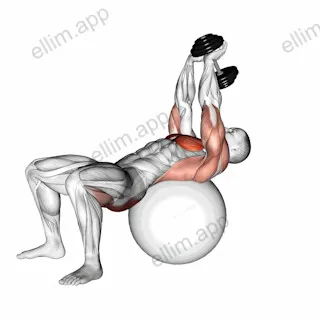 Dumbbell Pullover Hip Extension on Exercise Ball exercise targeting Chest and Gluteus Maximus