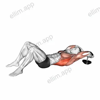 Dumbbell Pullover on floor exercise targeting Back and Pectoralis Major Sternal Head