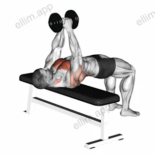 Dumbbell Pullover exercise targeting Chest and Pectoralis Major Sternal Head