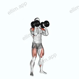 Dumbbell Push Press exercise targeting Shoulders and Adductor Magnus
