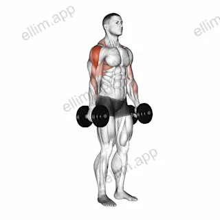 Dumbbell Raise exercise targeting Shoulders and Deltoid Lateral