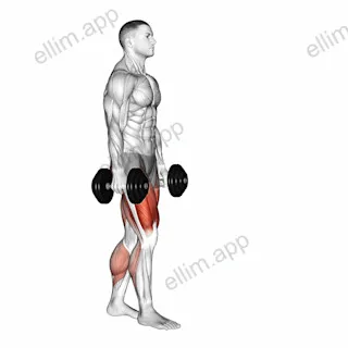 Dumbbell RDL Death March exercise targeting Hips and Gluteus Maximus
