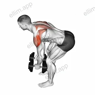 Dumbbell Rear Delt Fly (45 degrees) exercise targeting Shoulders and Deltoid Posterior